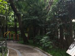 -华山儿童公园
