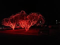 -东方太阳城淮扬餐厅(会所中餐厅店)