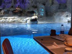 -帝企鹅自助餐厅•儿童岛•真企鹅(长隆企鹅酒店)