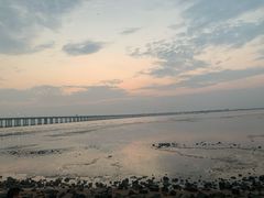 -宝安西湾红树林湿地公园