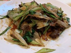 -九花山烤鸭店