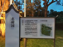 -名树园