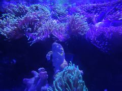 -太平洋海底世界