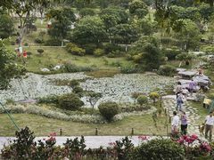 -东莞植物园