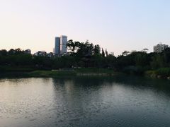 -四海公园(南山区)