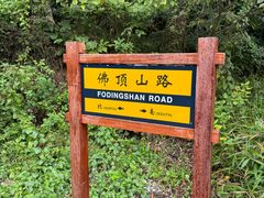 -普陀山慧济禅寺