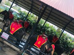 -东芭乐园