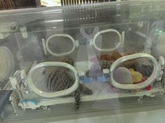 -宁波野生动物园