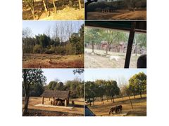 -杭州野生动物世界