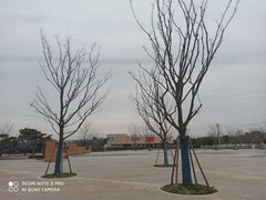 -盘龙城国家考古遗址公园