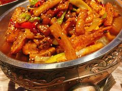 -领航美食音乐餐吧