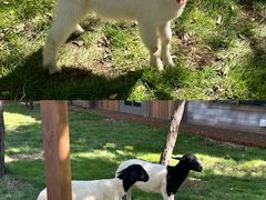 -南戴河国际娱乐中心