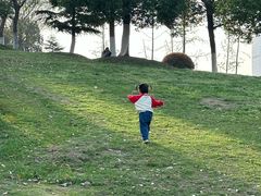 -滨湖塘西河公园