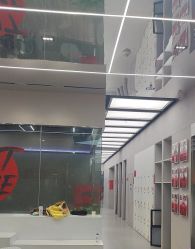 -跳动全城舞蹈