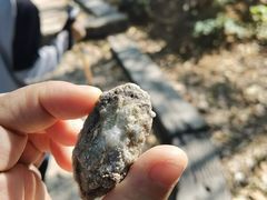 -黄埔油麻山森林公园
