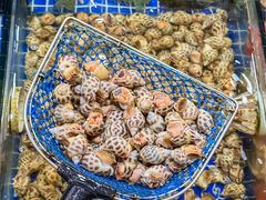 -明记海鲜大排档(巽寮湾店)