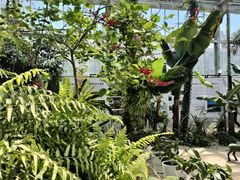 -国家植物园南园