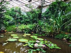 -昆明植物园