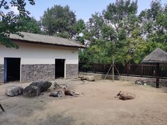 -上方山森林动物世界