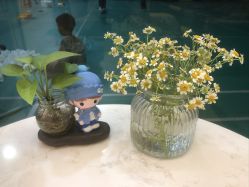 -恩舍瑜伽普拉提