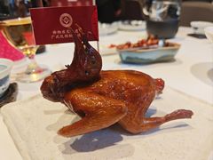 非遗红烧乳鸽-侨美食家·41年地道粤菜(珠江新城店)