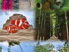 -巧克力渔家.小船海鲜胶东菜(万平口店)