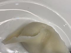 -东方饺子王(新奥购物中心店)