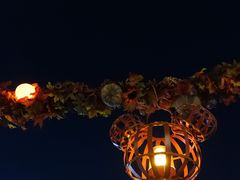 -WOLFGANG PUCK KITCHEN & BAR(迪士尼小镇店)