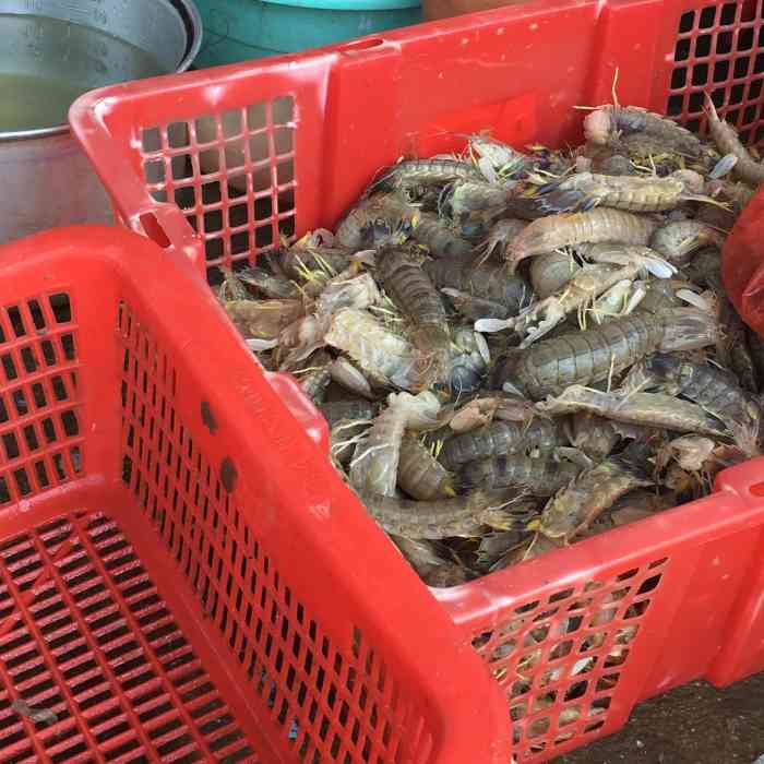 马宫水产品批发市场-"马宫社区的水产品批发市场,离汕尾城区还有.