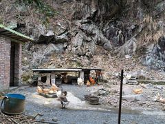 -途中饭店(开化店)