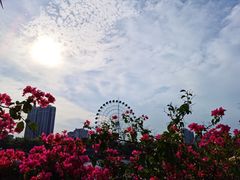 -霞山观海长廊