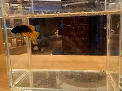 -御海8号温泉酒店