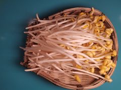 簸箕黄豆芽-蜀巷弯弯串串香(长春总店)