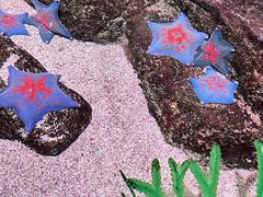 -沈阳海洋探索中心