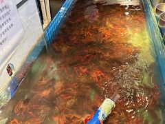 -星伦多自助料理(花山金鹰店)