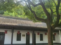 -上海佘山国家森林公园天马山园