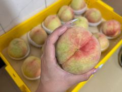 -老袁家蜜桃农场·阳山水蜜桃