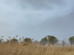 -野鸭湖国家湿地公园