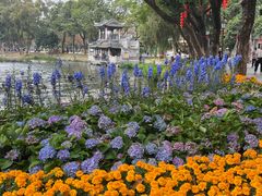 -荔湾湖公园