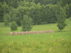 -粘豆包柴火铁锅炖
