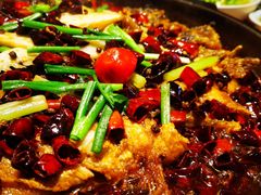老板恋上鱼-老板恋上鱼(环山路店)