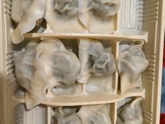 -东方饺子王(新阳路店)