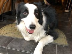 -RUMORS COFFEE ROASTERY鲁马滋咖啡(湖南路店)