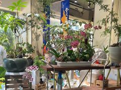 -弗劳尔花艺坊(龙涛店)