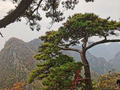 -大连天门山国家森林公园