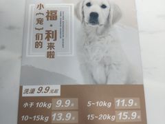 -福州肆爪动物医院