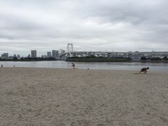 -台场海滨公园船码头