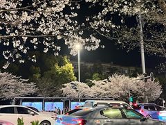 -华中科技大学光谷体育馆