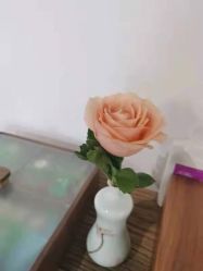 -翎兰瑜伽·普拉提