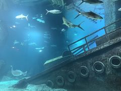 -福州罗源湾海洋世界旅游区
